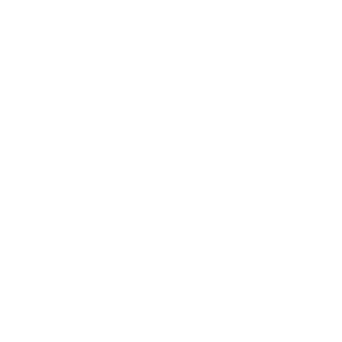 Stc-logo