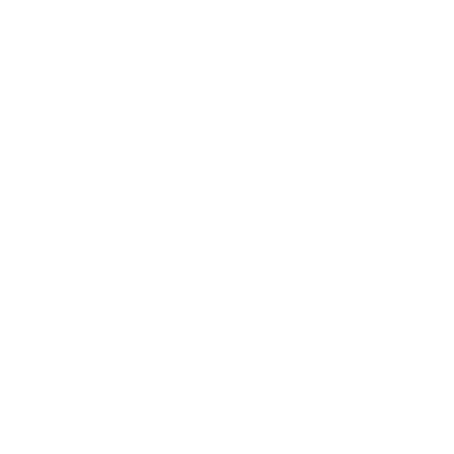 rz_logo_L
