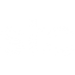 Stc-logo